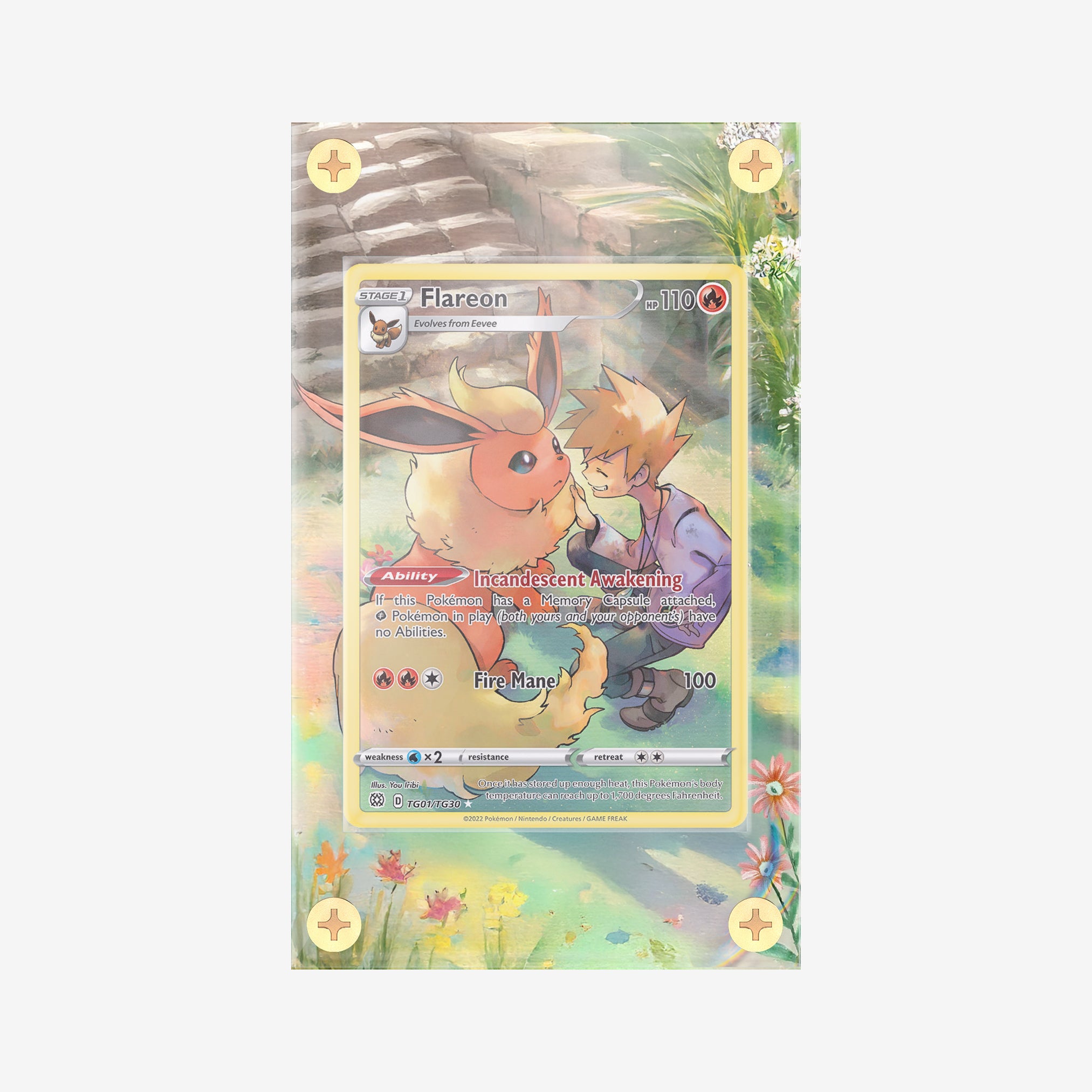 Flareon Trainer Gallery: Brilliant Stars - Pokemon Infinity Frames