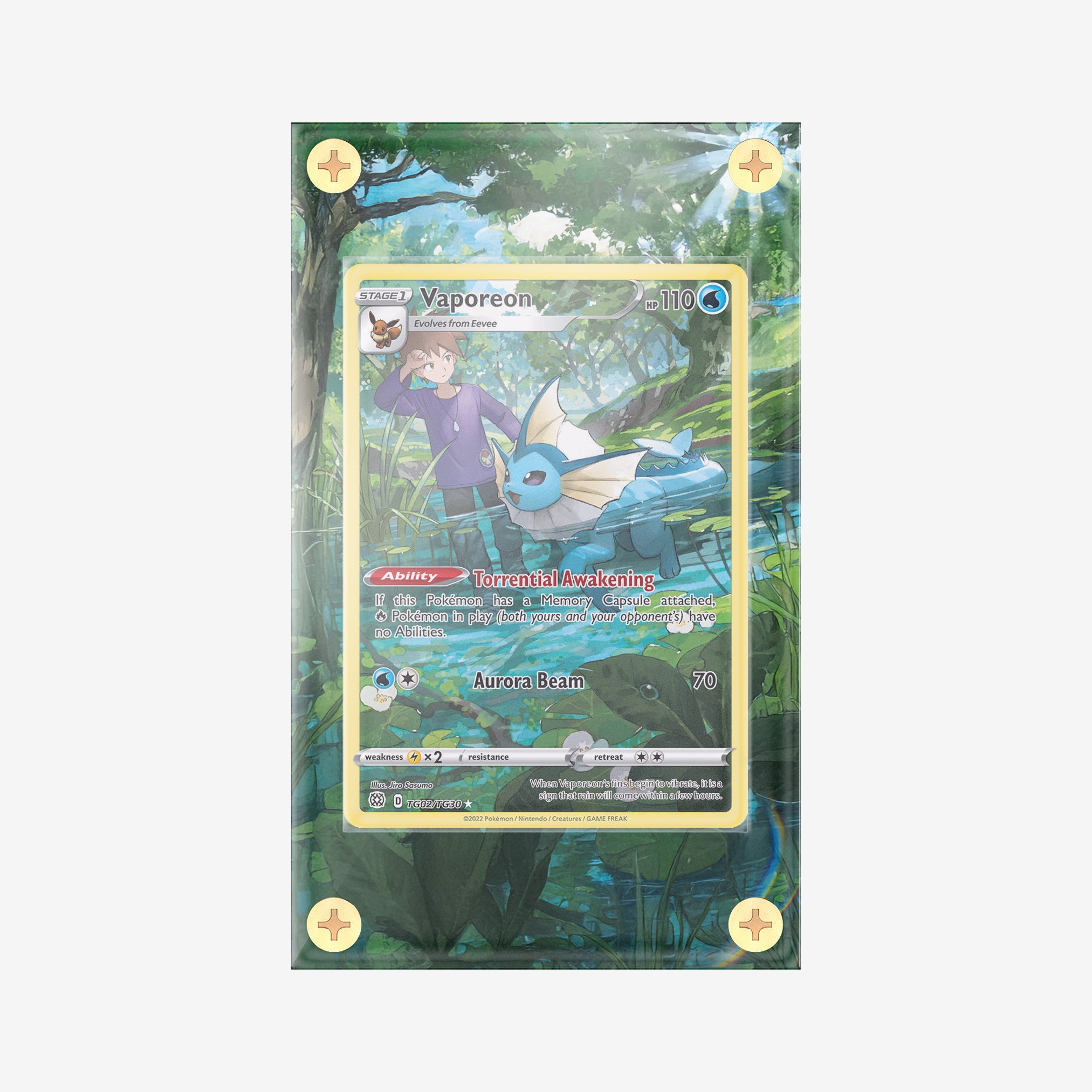 Vaporeon Trainer Gallery: Brilliant Stars - Pokemon Infinity Frames