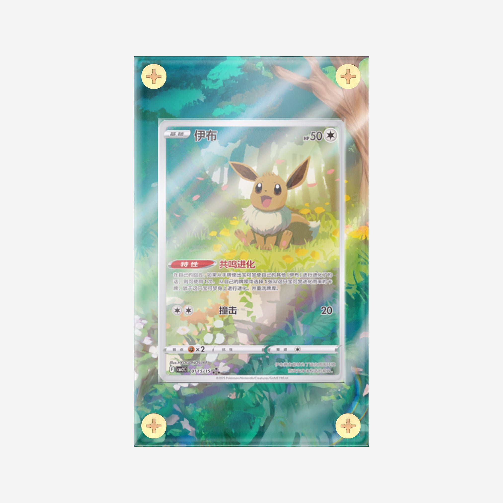 Eevee AR: Simplified Chinese Gem Vol 2 - Pokemon Infinity Frames