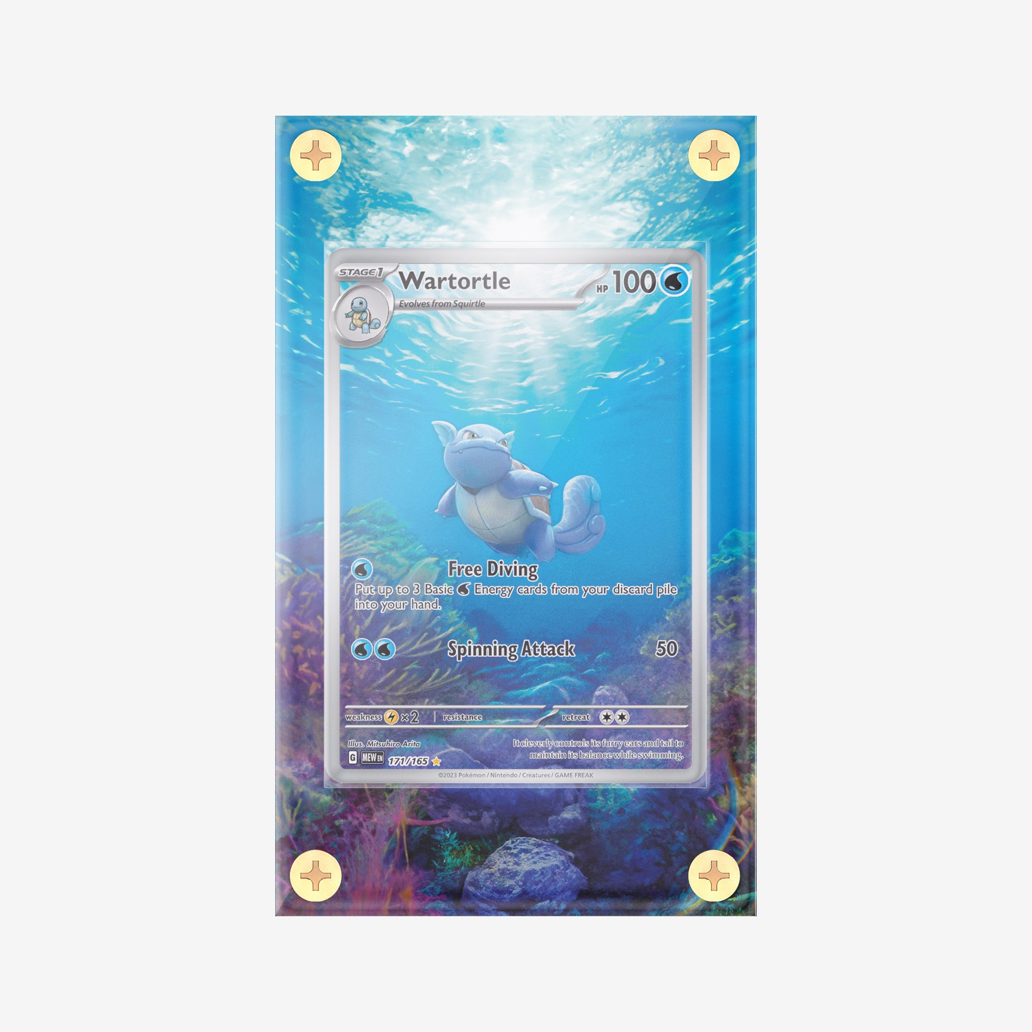 Wartortle #171/165 : 151 - Pokemon Infinity Frames