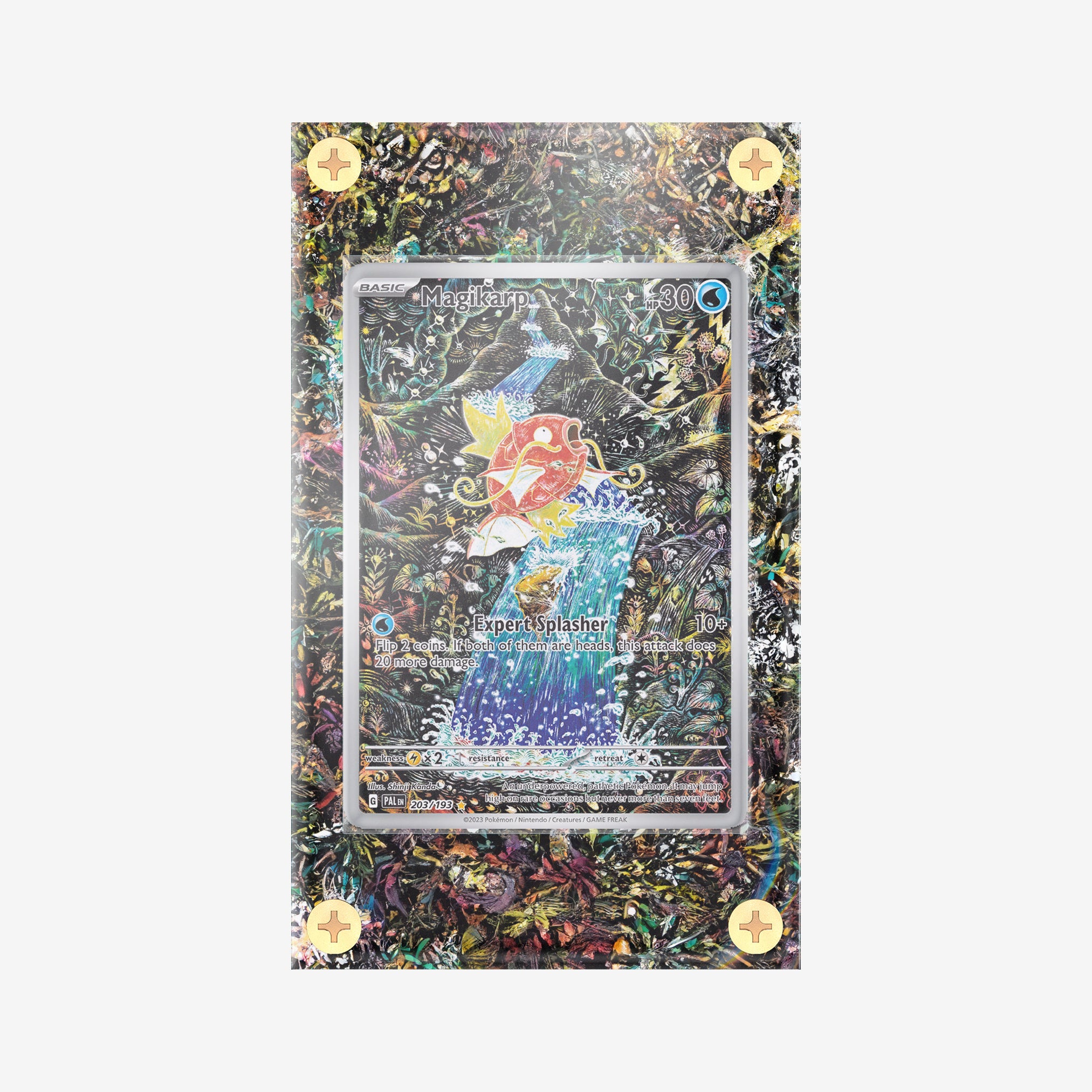 Magikarp #203/193 : Paldea Evolved - Pokemon Infinity Frames