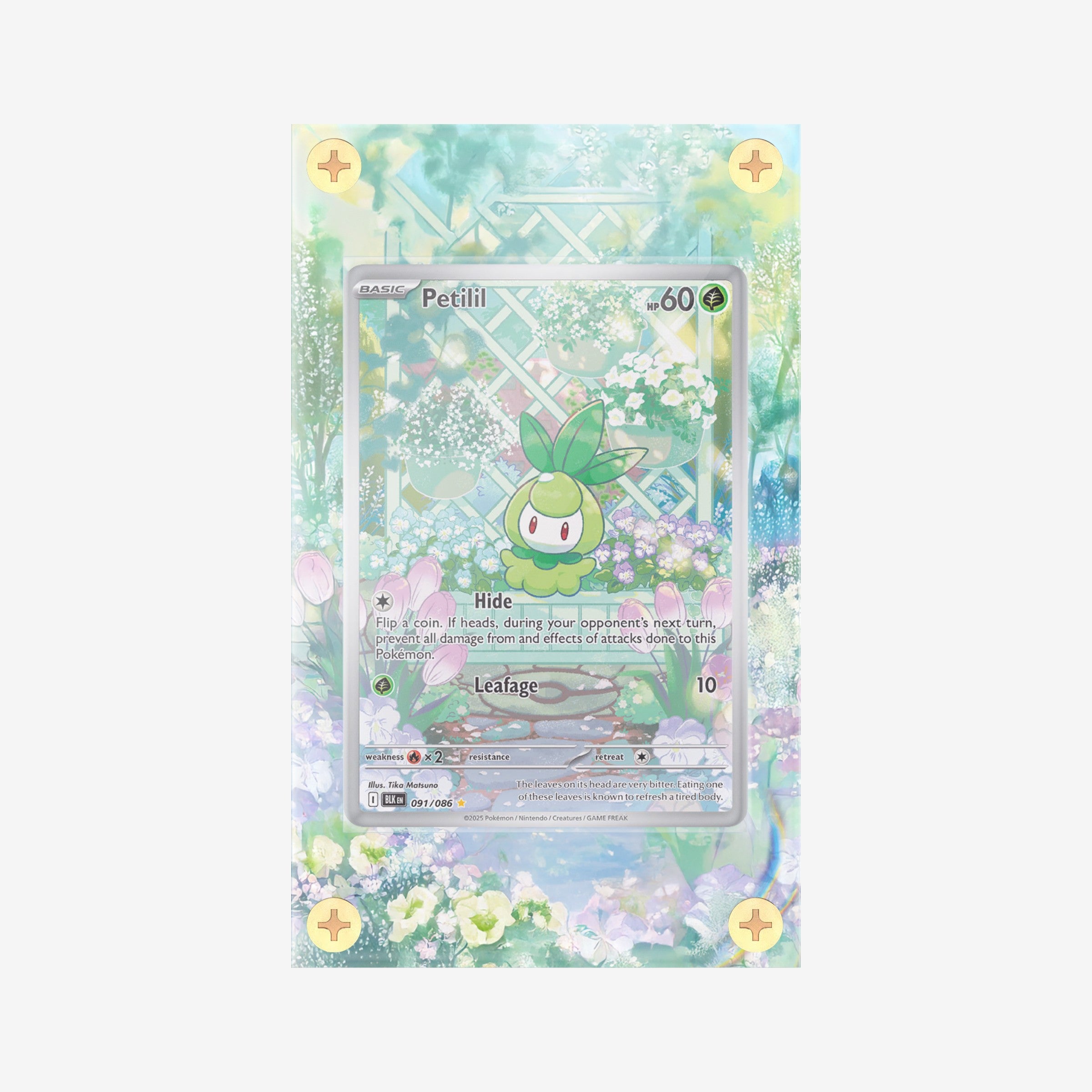 Petilil IR - 091/086 - Black Bolt