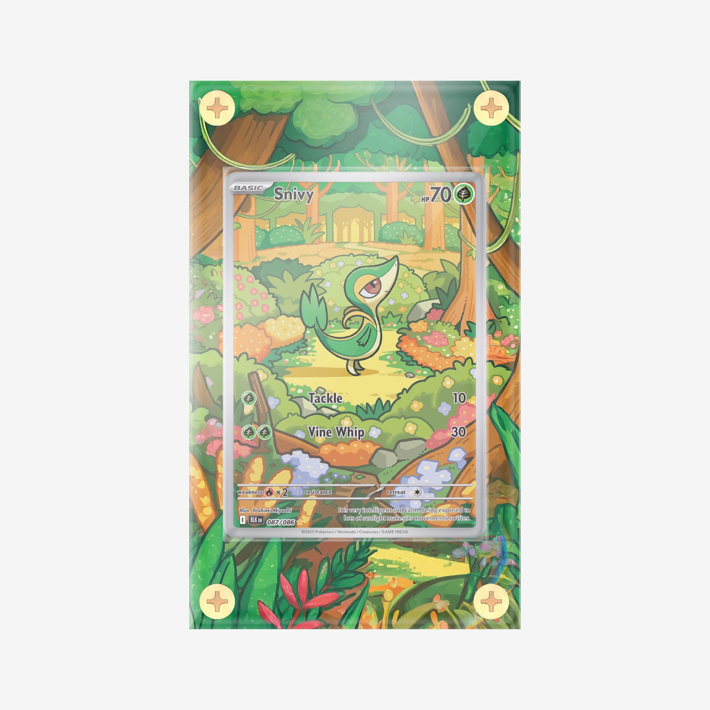 Snivy IR - 087/086 - Black Bolt