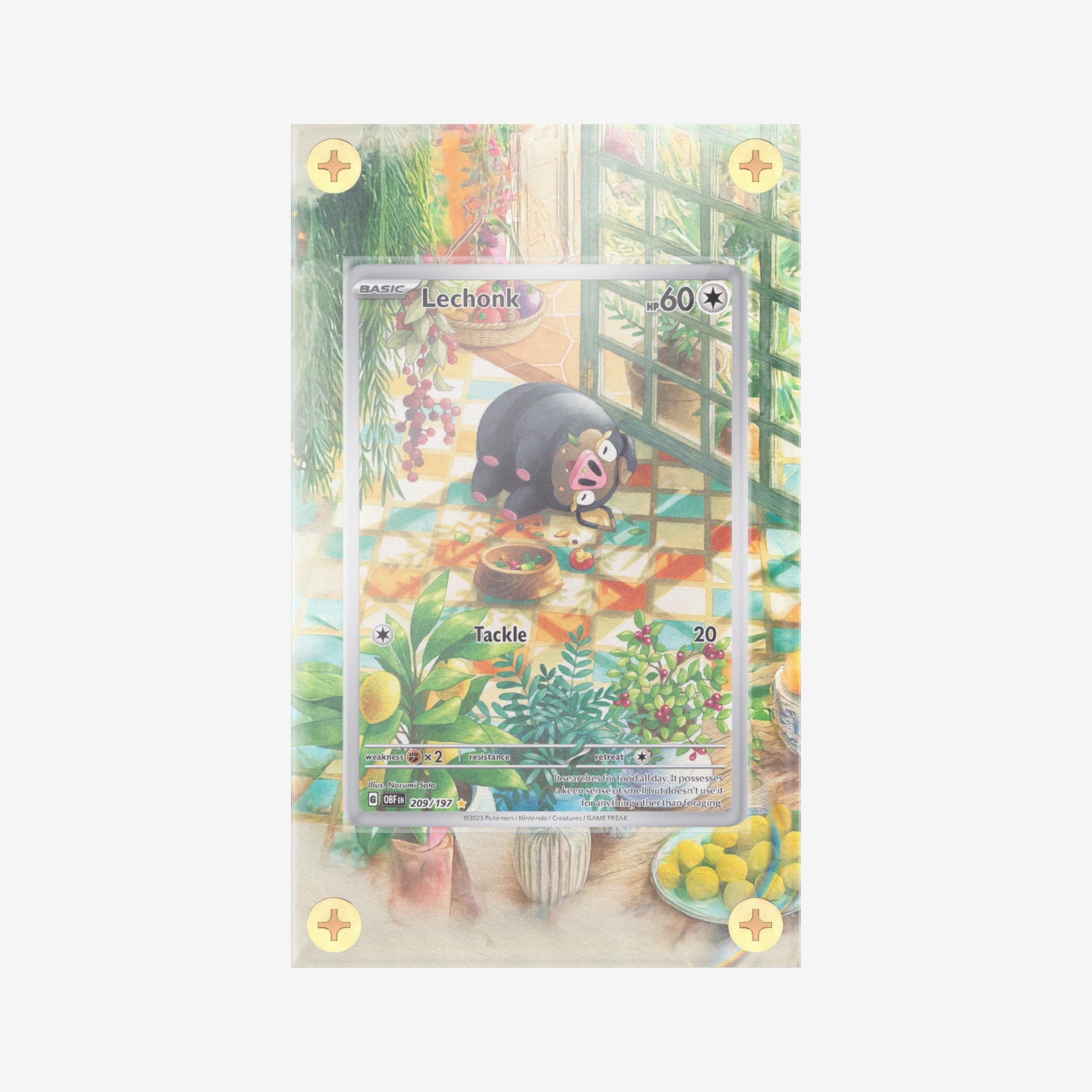 Lechonk IR - 209/197 - Obsidian Flames