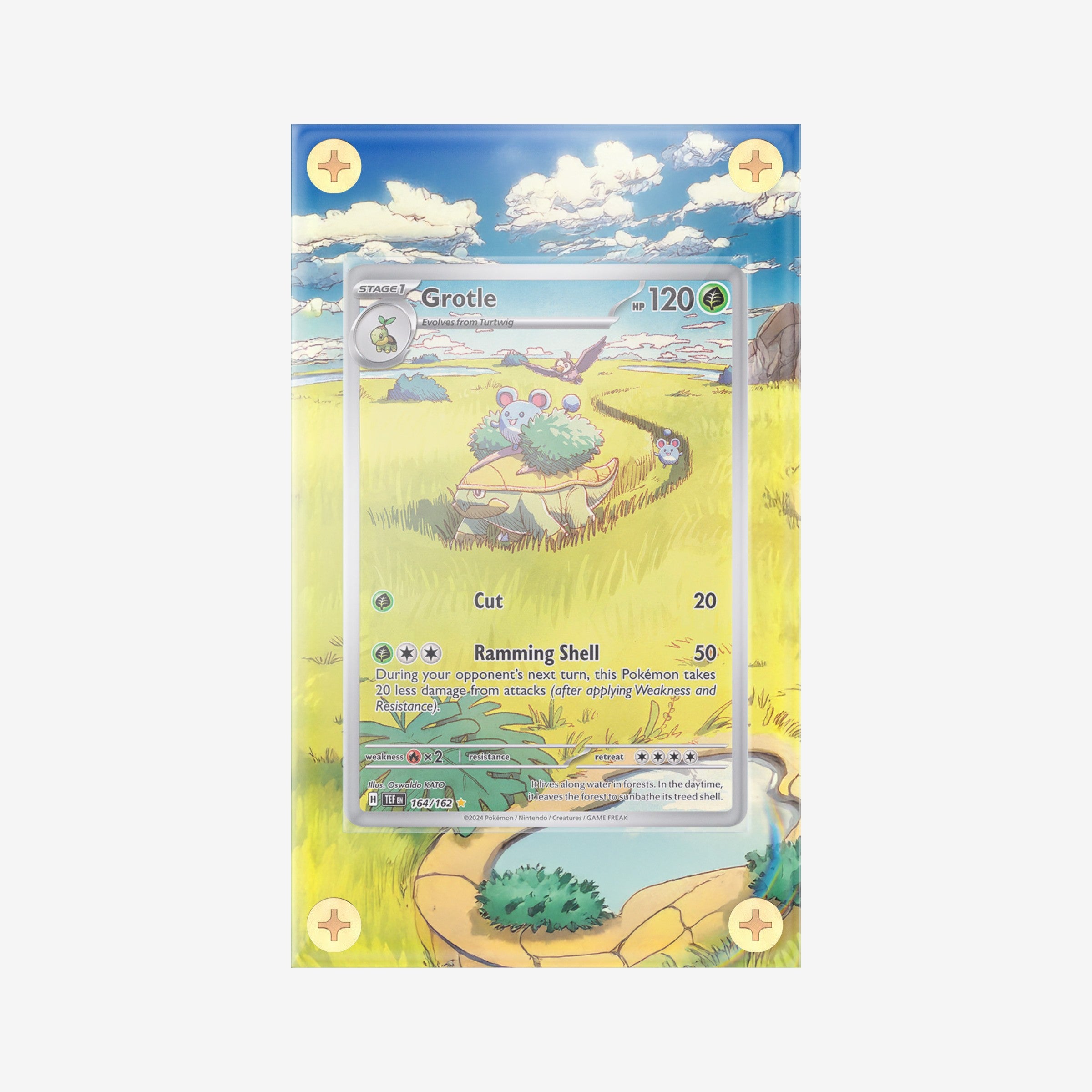 Grotle IR 164/162: Temporal Forces