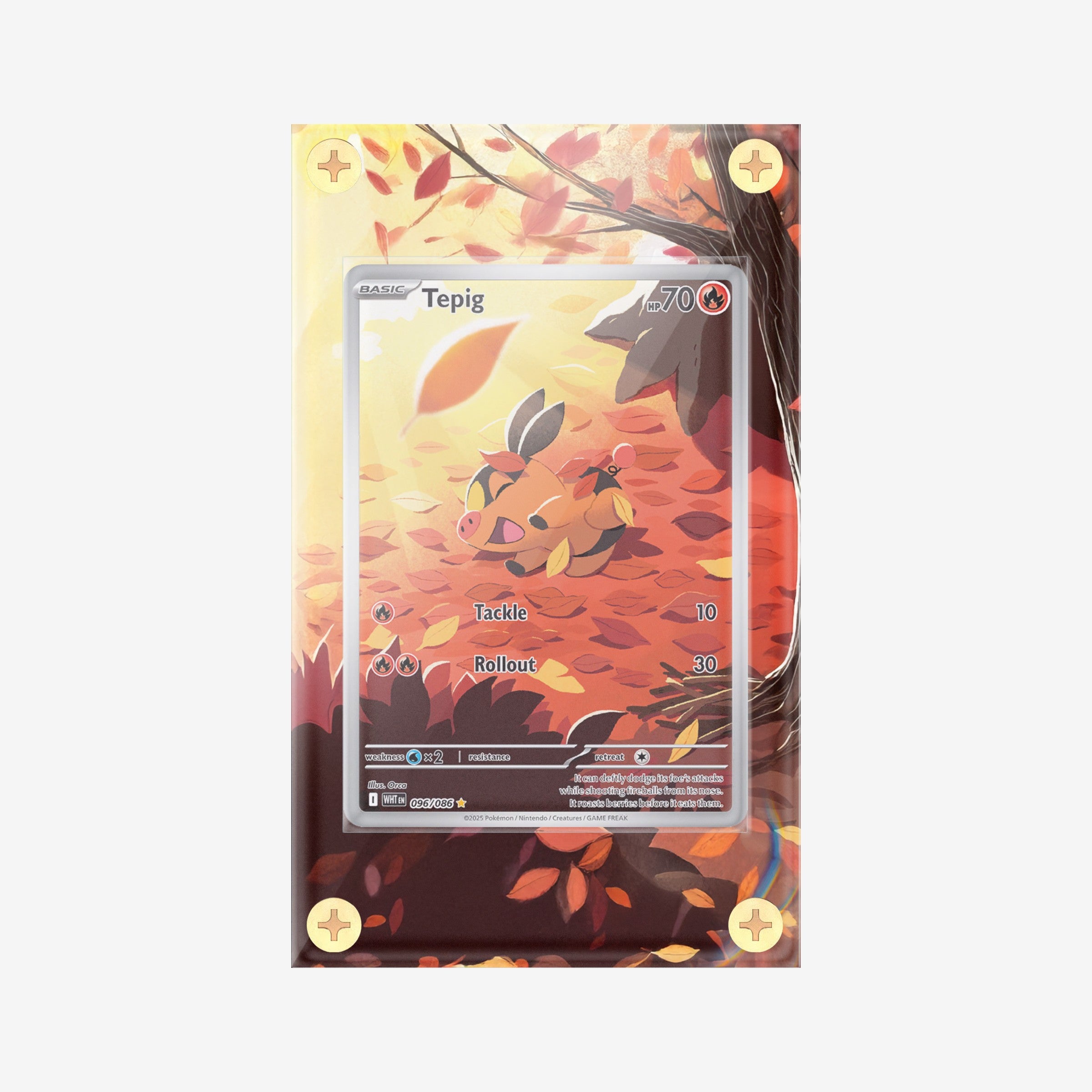 Tepig IR - 096/086 - White Flare